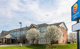 Hampton Inn Chelsea, Mi